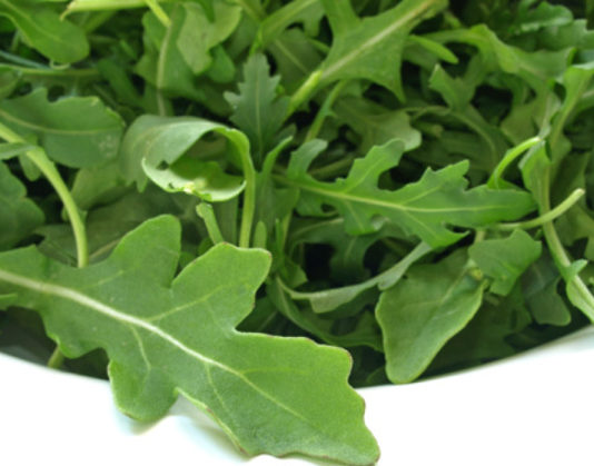 Rucola 763 0 012 Rucola_ok